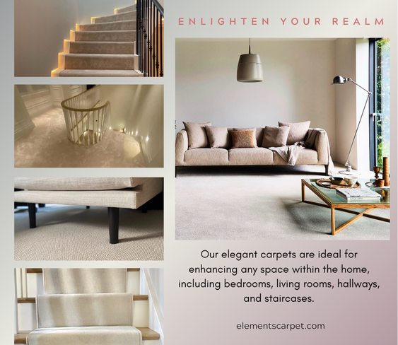Enlighten Your Realm
