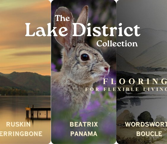 The Lake District Collection